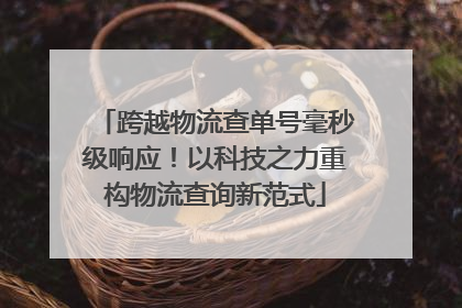 跨越物流查单号毫秒级响应！以科技之力重构物流查询新范式
