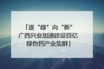逐“绿”向“新” 广西兴业加速建设百亿绿色钙产业集群
