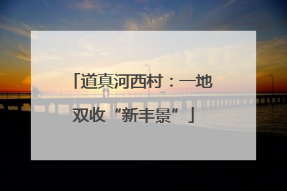 道真河西村：一地双收“新丰景”