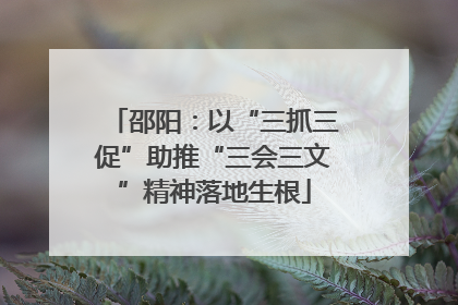 邵阳：以“三抓三促”助推“三会三文”精神落地生根