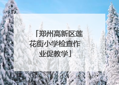 郑州高新区莲花街小学检查作业促教学