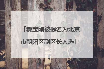 郝宝刚被提名为北京市朝阳区副区长人选