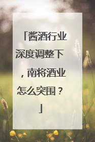 酱酒行业深度调整下，南将酒业怎么突围？