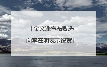 金文洙宣布败选 向李在明表示祝贺