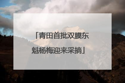 青田首批双膜东魁杨梅迎来采摘