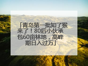 青岛第一批知了猴来了！80后小伙承包60亩林地，高峰期日入过万