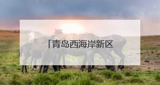 青岛西海岸新区隐珠街道：集中排查入海排污口，筑牢海洋生态防线