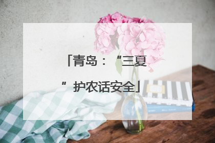 青岛：“三夏”护农话安全