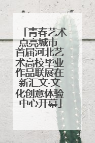 青春艺术点亮城市 首届河北艺术高校毕业作品联展在新汇文·文化创意体验中心开幕