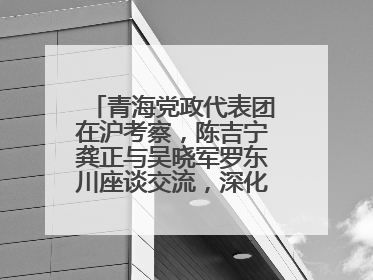 青海党政代表团在沪考察，陈吉宁龚正与吴晓军罗东川座谈交流，深化合作对接
