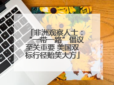 非洲观察人士：“一带一路”倡议至关重要 美国双标行径贻笑大方