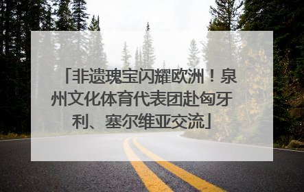 非遗瑰宝闪耀欧洲！泉州文化体育代表团赴匈牙利、塞尔维亚交流