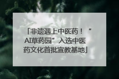 非遗遇上中医药！“AI草药园”入选中医药文化首批宣教基地