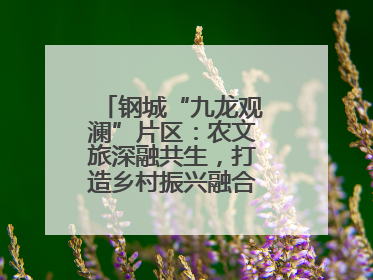 钢城“九龙观澜”片区：农文旅深融共生，打造乡村振兴融合发展新实践