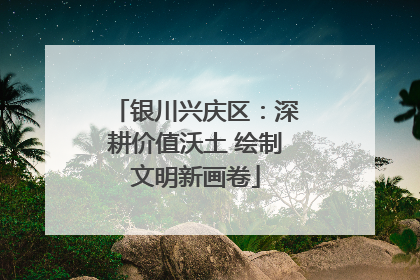 银川兴庆区：深耕价值沃土 绘制文明新画卷