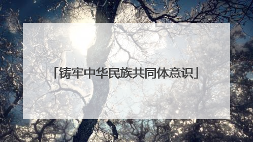 铸牢中华民族共同体意识