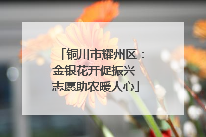 铜川市耀州区：金银花开促振兴 志愿助农暖人心
