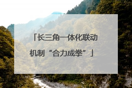 长三角一体化联动机制“合力成拳”