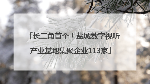 长三角首个！盐城数字视听产业基地集聚企业113家