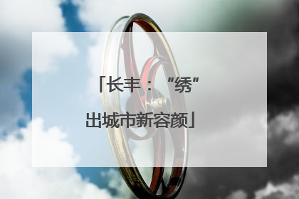 长丰：“绣”出城市新容颜