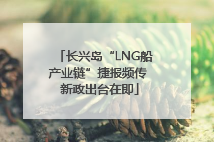 长兴岛“LNG船产业链”捷报频传 新政出台在即