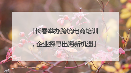 长春举办跨境电商培训，企业探寻出海新机遇
