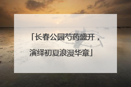长春公园芍药盛开，演绎初夏浪漫华章