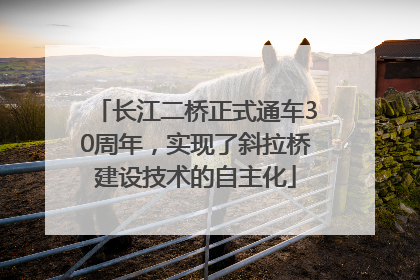 长江二桥正式通车30周年，实现了斜拉桥建设技术的自主化