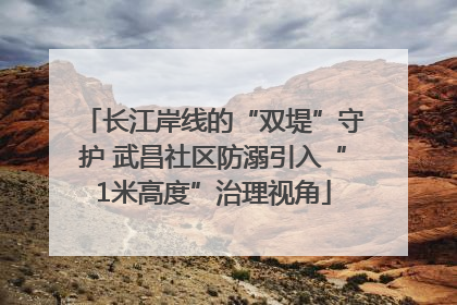 长江岸线的“双堤”守护 武昌社区防溺引入“1米高度”治理视角