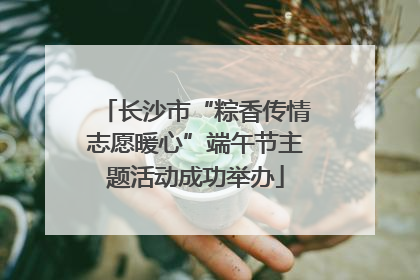 长沙市“粽香传情志愿暖心”端午节主题活动成功举办