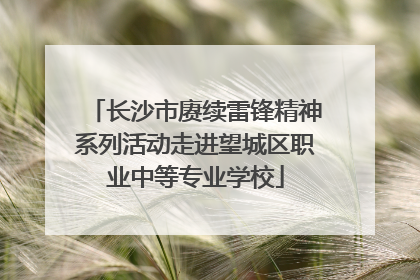 长沙市赓续雷锋精神系列活动走进望城区职业中等专业学校