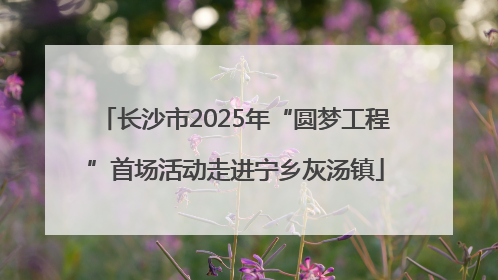 长沙市2025年“圆梦工程”首场活动走进宁乡灰汤镇
