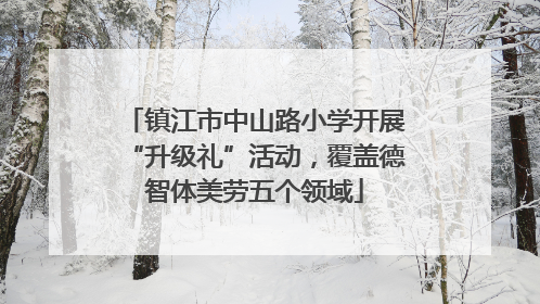 镇江市中山路小学开展“升级礼”活动，覆盖德智体美劳五个领域
