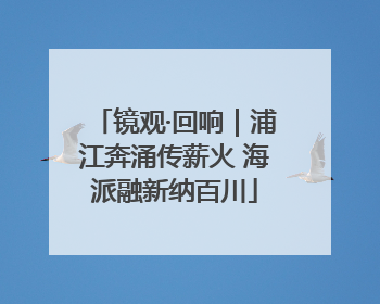 镜观·回响｜浦江奔涌传薪火 海派融新纳百川