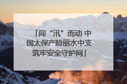 闻“汛”而动 中国太保产险丽水中支筑牢安全守护网