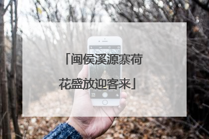 闽侯溪源寨荷花盛放迎客来