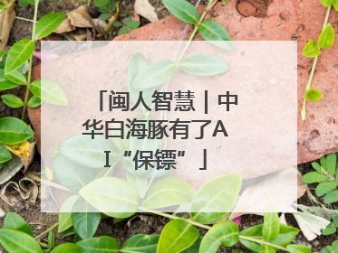 闽人智慧｜中华白海豚有了AI“保镖”