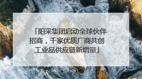 阳采集团启动全球伙伴招商，千家优质厂商共创工业品供应链新增量
