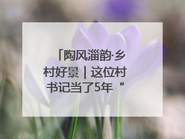 陶风淄韵·乡村好景｜这位村书记当了5年“首席证婚人”