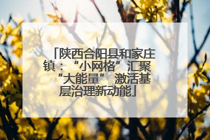 陕西合阳县和家庄镇：“小网格”汇聚“大能量” 激活基层治理新动能