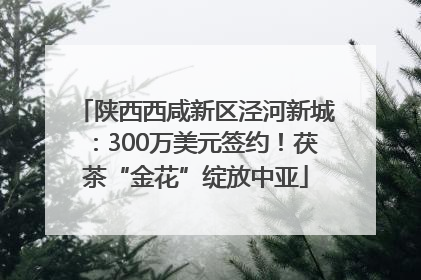 陕西西咸新区泾河新城：300万美元签约！茯茶“金花”绽放中亚