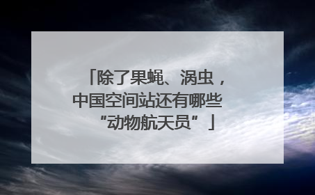 除了果蝇、涡虫，中国空间站还有哪些“动物航天员”