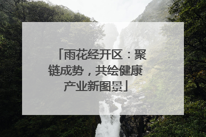雨花经开区：聚链成势，共绘健康产业新图景
