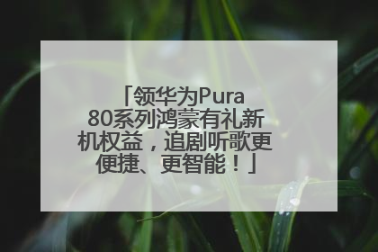 领华为Pura 80系列鸿蒙有礼新机权益，追剧听歌更便捷、更智能！