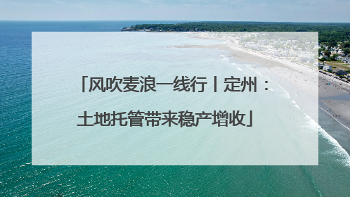 风吹麦浪一线行丨定州：土地托管带来稳产增收