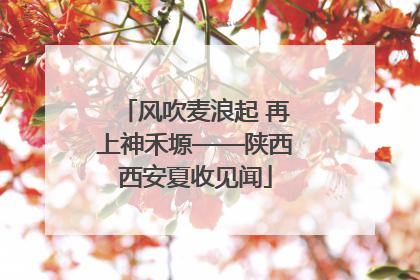 风吹麦浪起 再上神禾塬——陕西西安夏收见闻