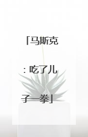马斯克：吃了儿子一拳