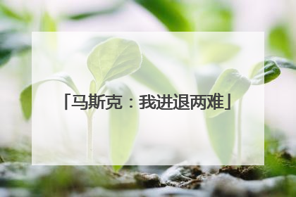马斯克：我进退两难