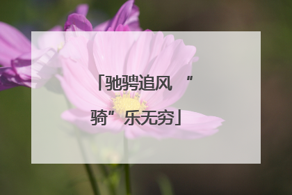 驰骋追风 “骑”乐无穷