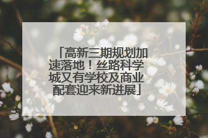 高新三期规划加速落地！丝路科学城又有学校及商业配套迎来新进展